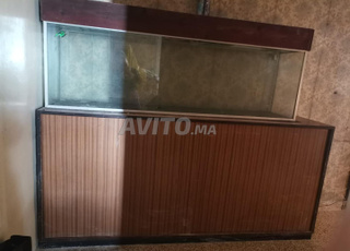 aquarium pour poissons 