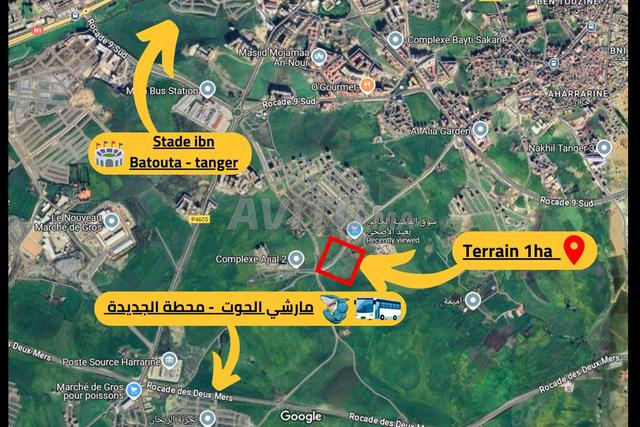 terrain projet de 1 ha pour immeuble R5