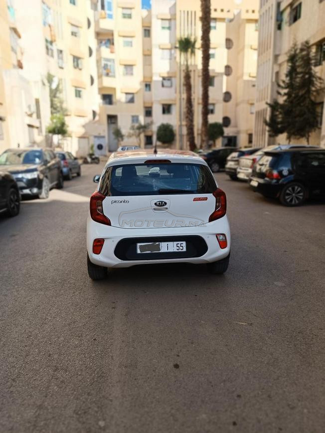 كيا بيكانتو بنزين يدوي 2020 في فاس