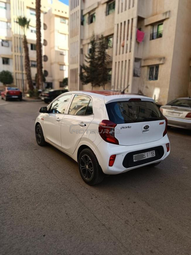 كيا بيكانتو بنزين يدوي 2020 في فاس