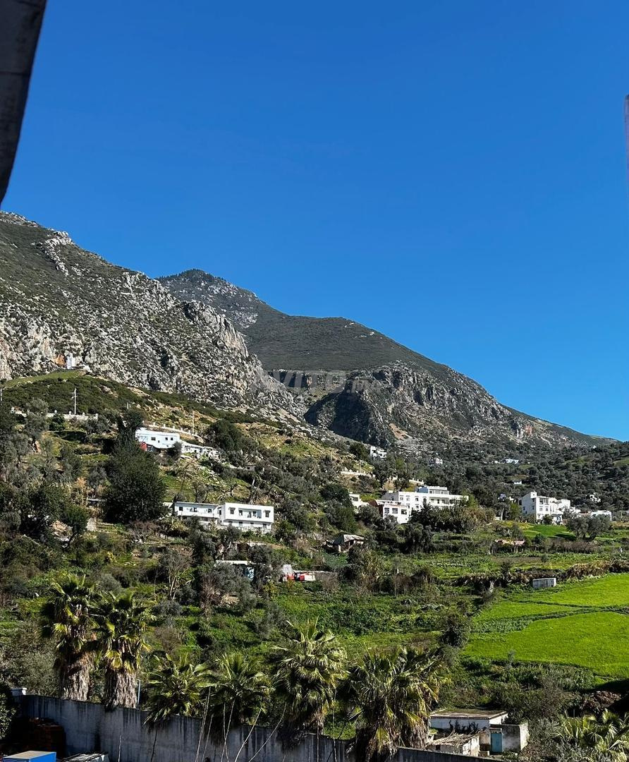 votre refuge paisible - image 4