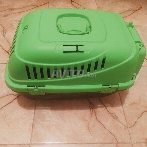 cage animaux