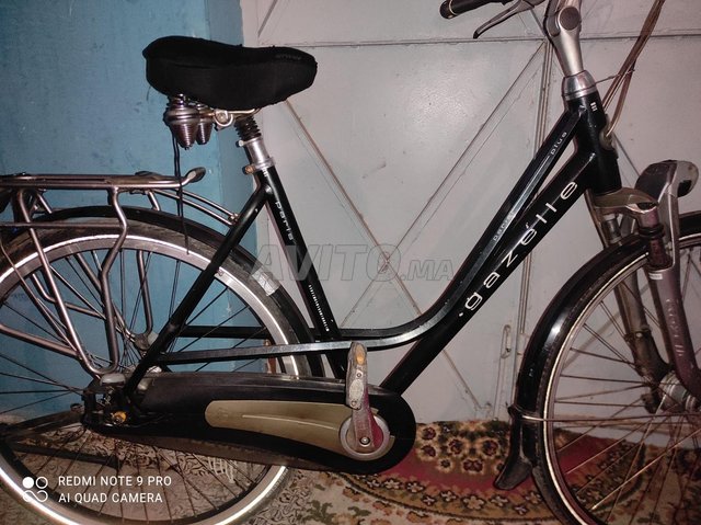 Gazelle paris plus femme 