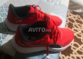 سبرديلة دورجين 