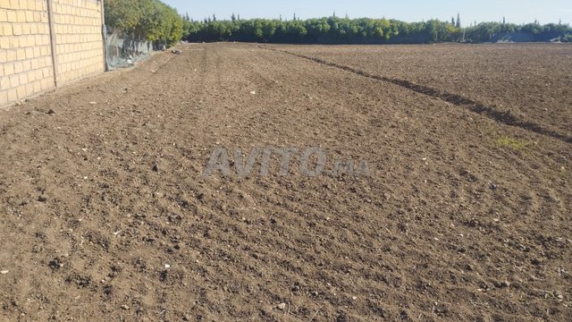 ارض للبيع فلاحية بإمتياز هكتار و 2 خدامة  