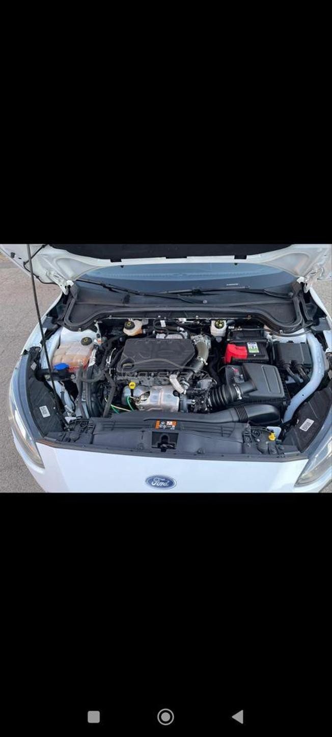 focus titanium