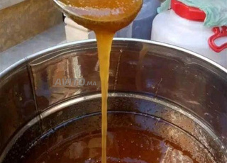 عسل الزعتر حر 