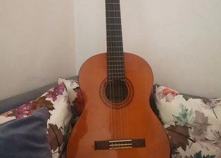 Guitare C40