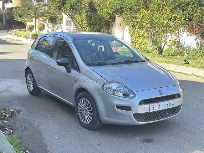 fiat punto