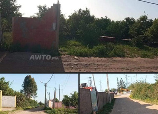 بقعة أرضية للكراء ديبو