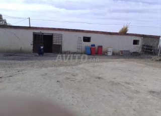 Ferme à vendre 30 hectares - ضيعة للبيع