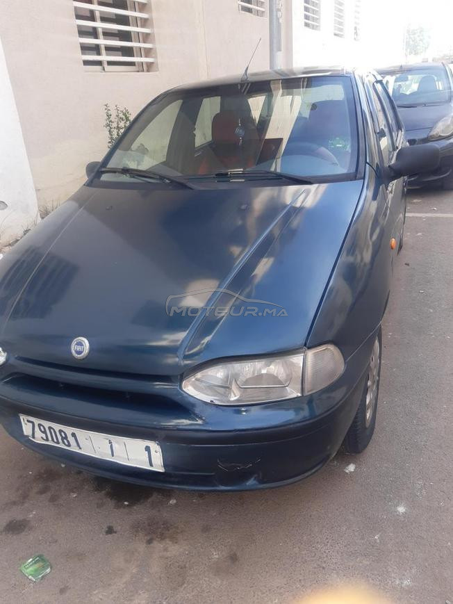 palio 