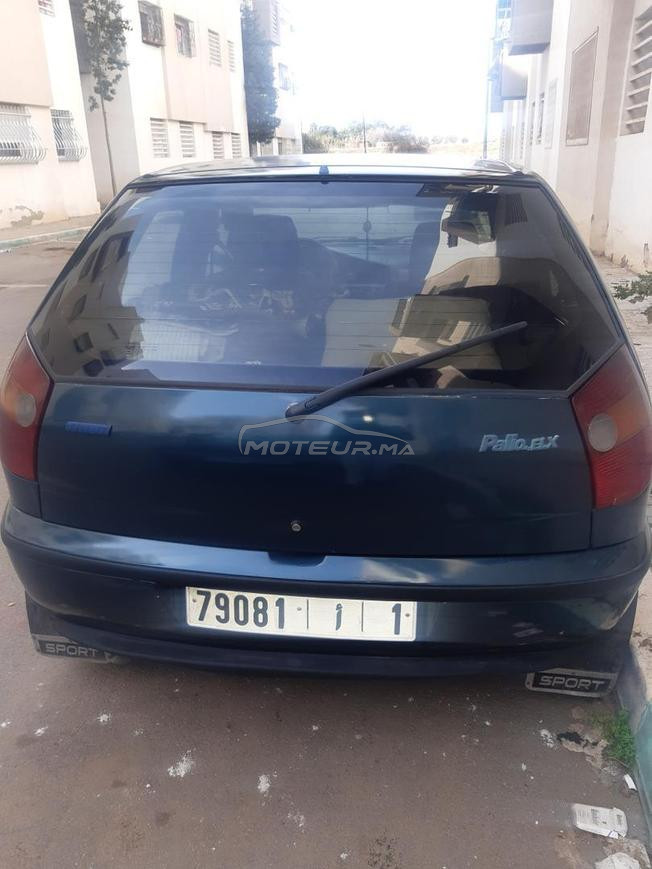 palio 