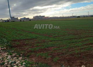 أرض محفظة مساحة 3763 متر مربع