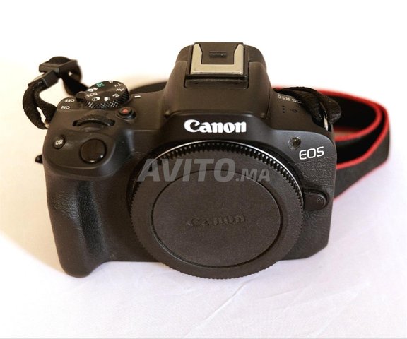 Canon R50 & objectifs et accessoires quasi neuf