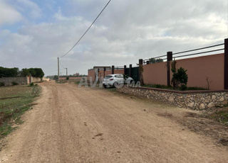 قرب مصور راسو