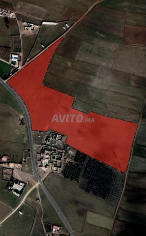 Terrain agricole 6 har أرض فلاحية بمساحة