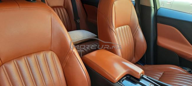 jolie jaguar F