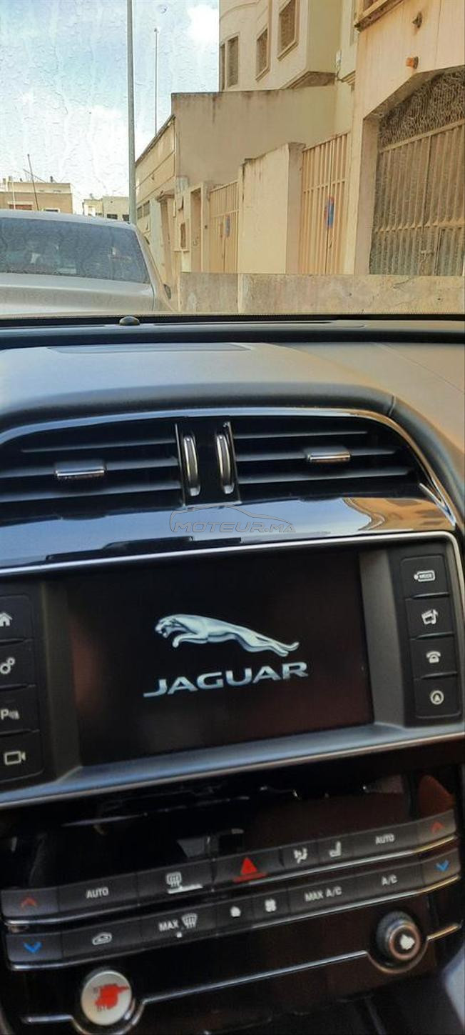 jolie jaguar F