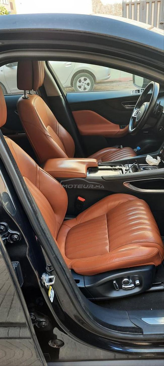 jolie jaguar F