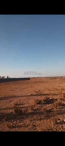 avendre Bon terrain 1hectar route amzmiz 