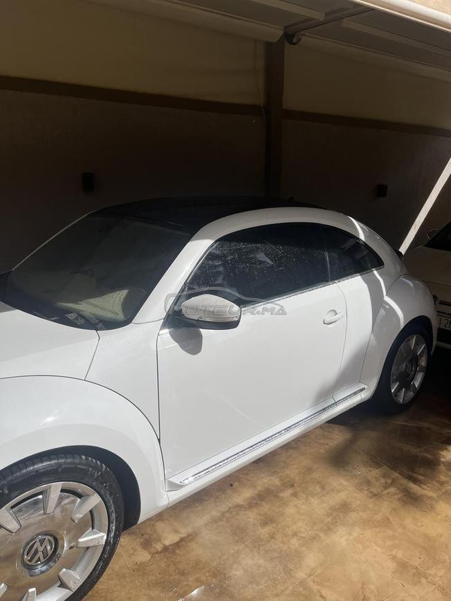 volkswagen coccinelle 