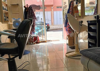 مطلوب محترف حلاقة