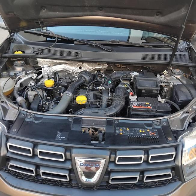 sandero stepway 