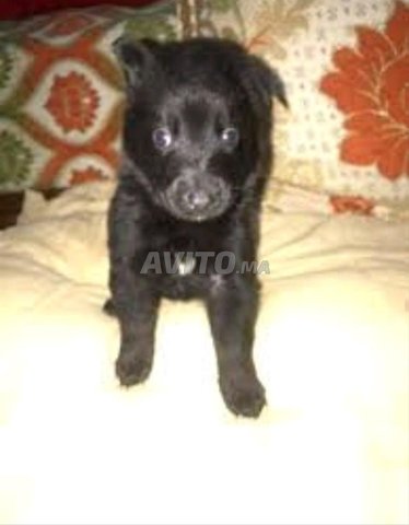 choit bébé berge noir