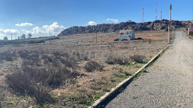 Terrain titré 326 m2 pour villa en bande