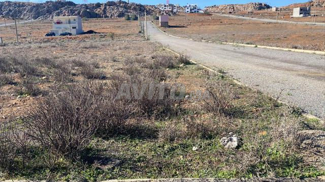 Terrain titré 326 m2 pour villa en bande
