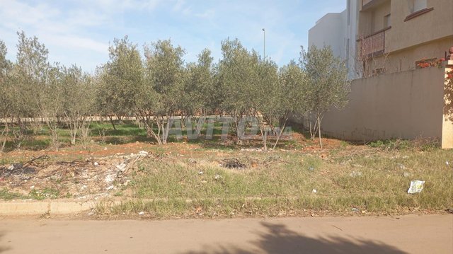 Superficie 285 riad ouislane 