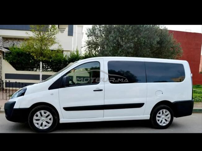 Citroen jumpy