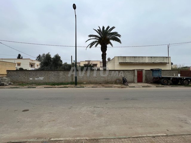 قطعة أرضية للبيع بمدينة سوق أربعاء الغرب 