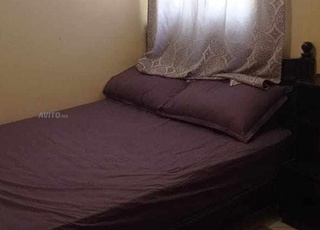 Appart meublé près des facultés 