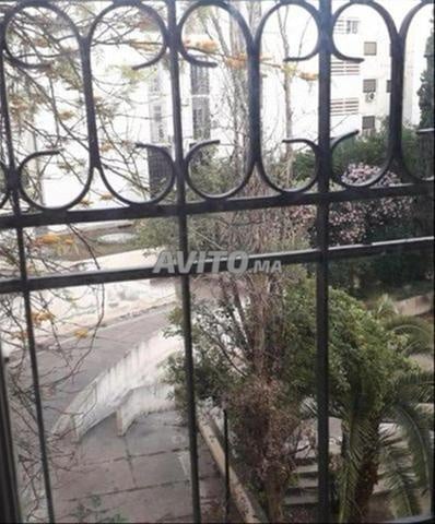 Appartement spacieux et très bien ensoleillé