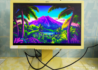 Ecran FUJITSU 22 Port VGA, DVI, DisplayPort