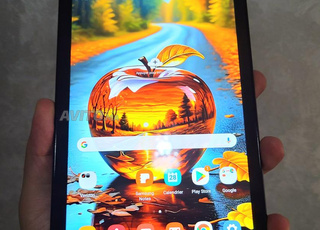 SAMSUNG Galaxy Tab A8 32Gb fiha carte sim o wifi 