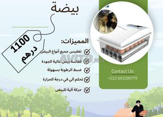 couveuses des œufs automatique