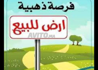 ارض عارية للبيع 