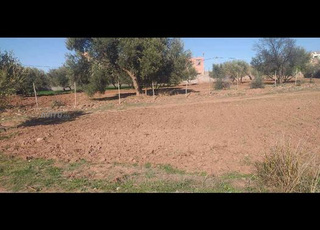 مراكش ايت اورير  