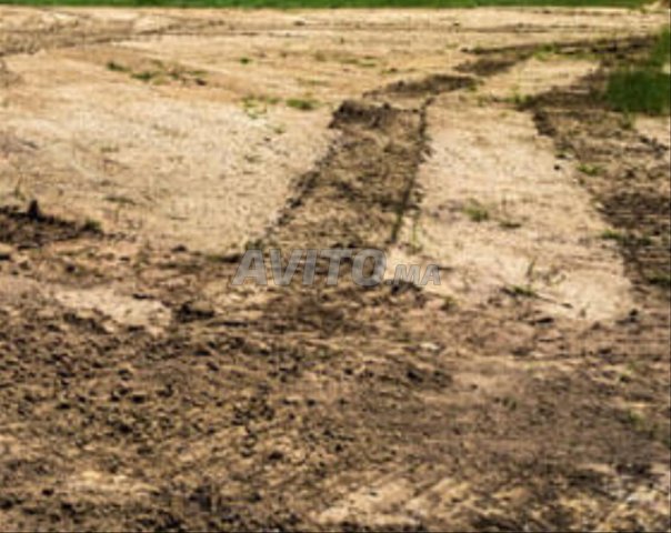 Terrain route SIDI YAHYA