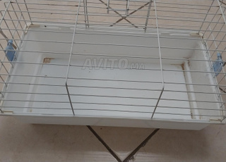 cage pour animaux 