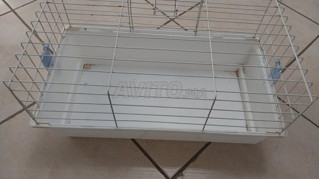 cage pour animaux 