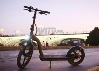 tretinette zeeclo cancun mliha