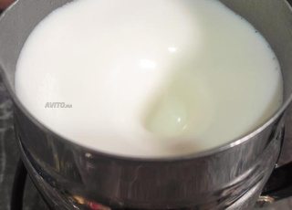 mousseur de lait Nespresso 