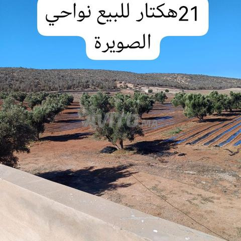 Ferme touristique équipé 