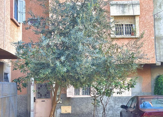 kenitra andalouss oulad arfa