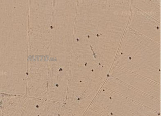 A Vendre Terrain Agricole Opportunité Unique