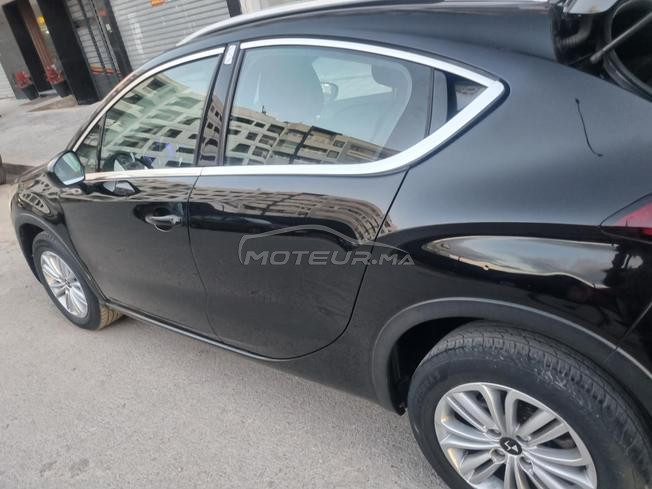 DSDS 4 Crossback